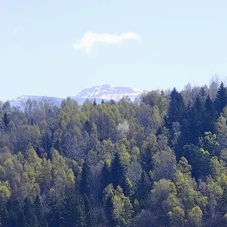 Ale Gory Beskid Zywiecki Hytte *