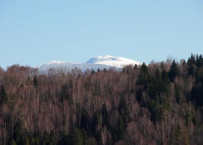Ale Góry